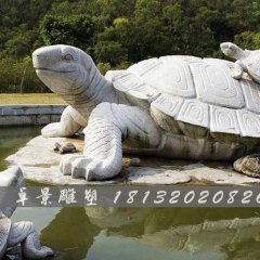 烏龜石雕，漢白玉烏龜雕塑