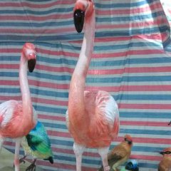 玻璃鋼火烈鳥雕塑，仿真火烈鳥雕塑