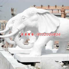 大象石雕，漢白玉大象
