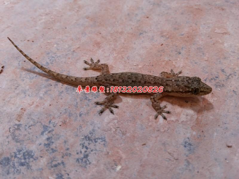 玻璃鋼壁虎雕塑，玻璃仿真動物雕塑