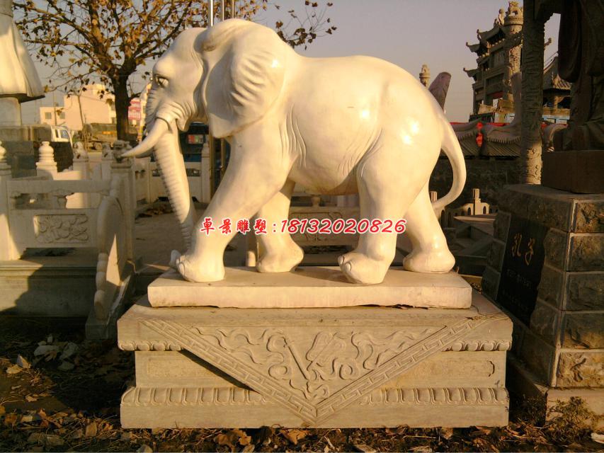 大象石雕，漢白玉動物石雕 (2)