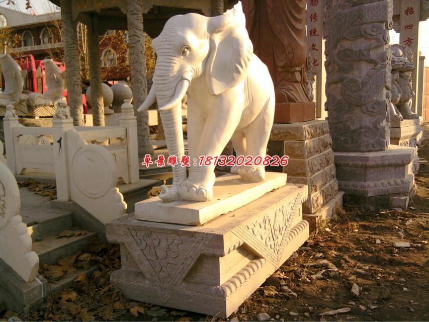 大象石雕，漢白玉動物石雕 (1)