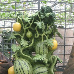 玻璃鋼仿真西瓜雕塑，仿真水果雕塑