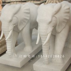 石雕大象，廣場(chǎng)大象石雕