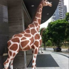 玻璃鋼長頸鹿雕塑，玻璃鋼仿真動物雕塑