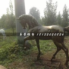 馬銅雕，公園動物銅雕
