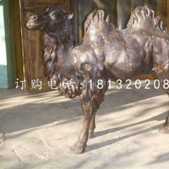 公園駱駝銅雕，動物銅雕