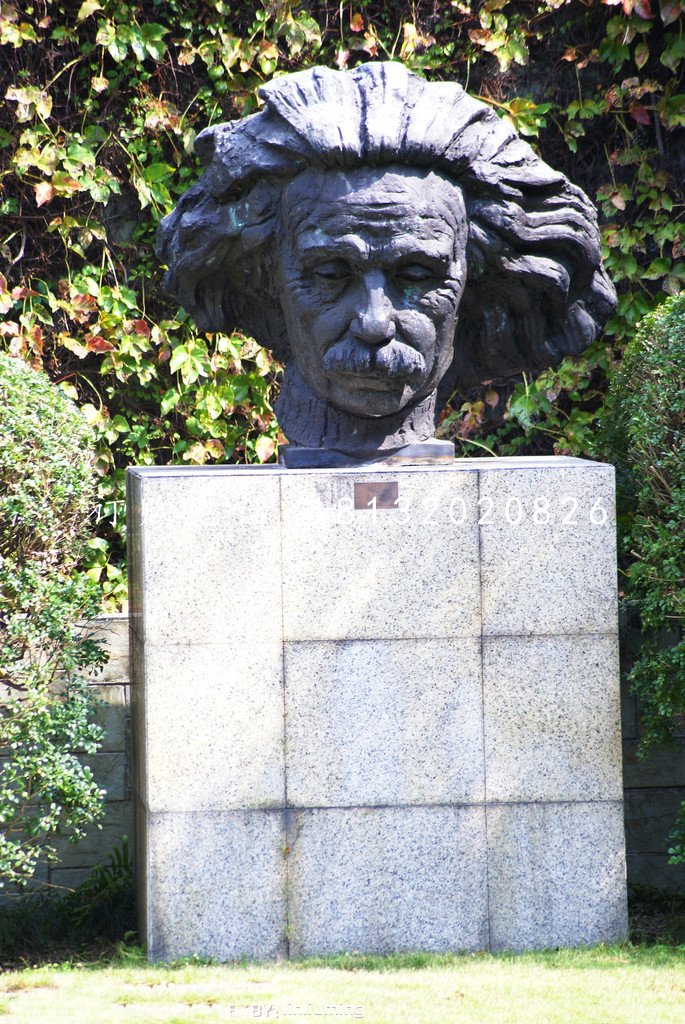 愛(ài)因斯坦頭像雕塑，名人銅雕