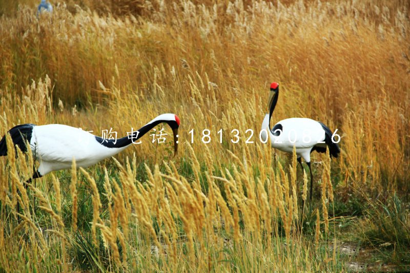 玻璃鋼丹頂鶴雕塑，公園動物雕塑