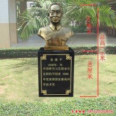景區袁隆平胸像銅雕
